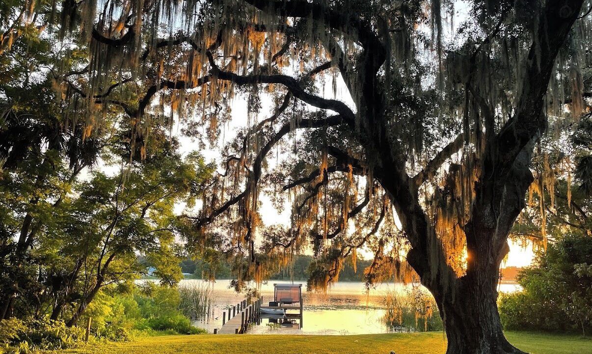 Photo of Outdoor in Crescent City