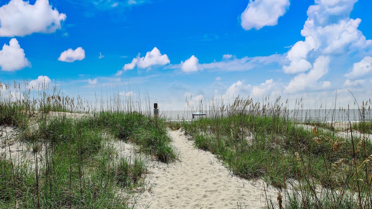 Photo of Others in Fernandina Beach