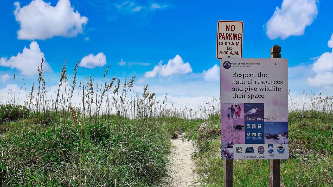 Photo of Others in Fernandina Beach