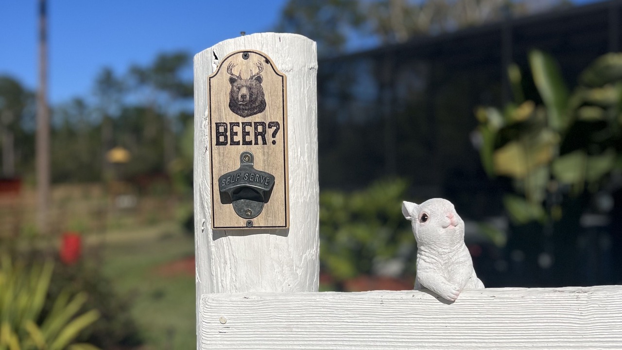 Photo of Outdoor in New Smyrna Beach