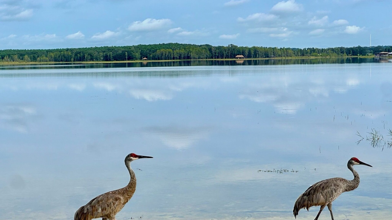 Photo of Others in Clermont
