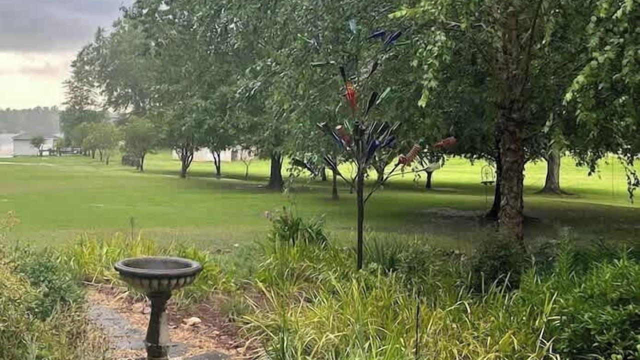 Photo of Outdoor in Eatonton