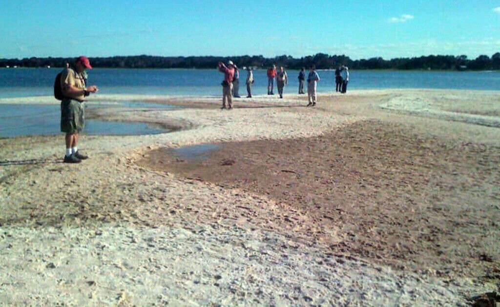 Photo of Others in Ocklawaha