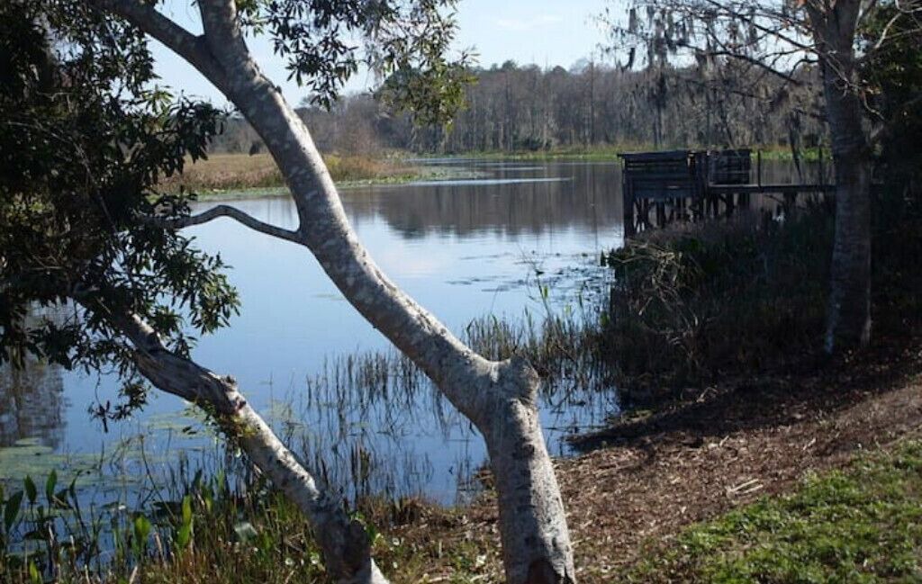 Photo of Outdoor in Ocklawaha
