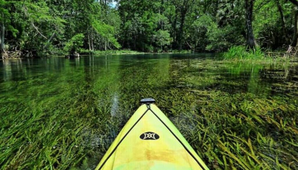 Photo of Outdoor in Ocklawaha