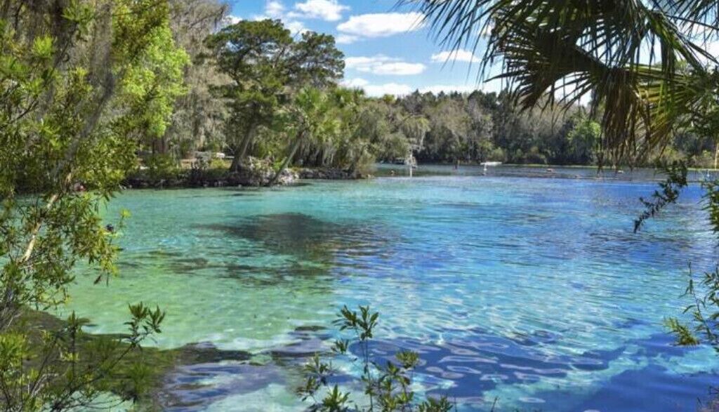 Photo of Others in Ocklawaha