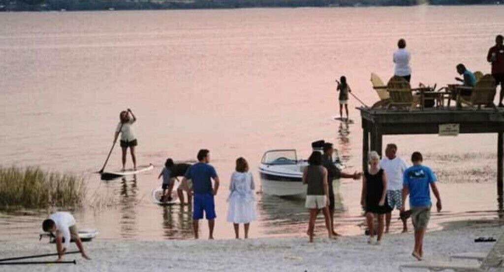 Photo of Others in Ocklawaha