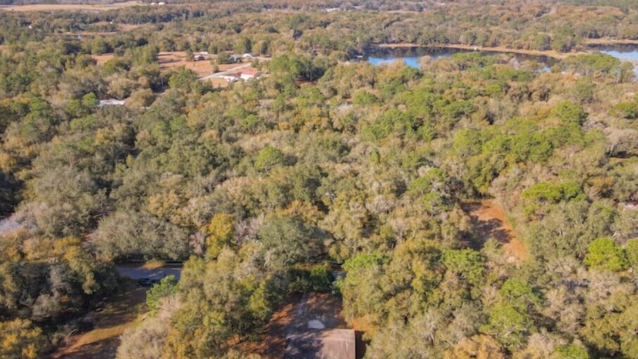 Photo of Outdoor in Ocklawaha