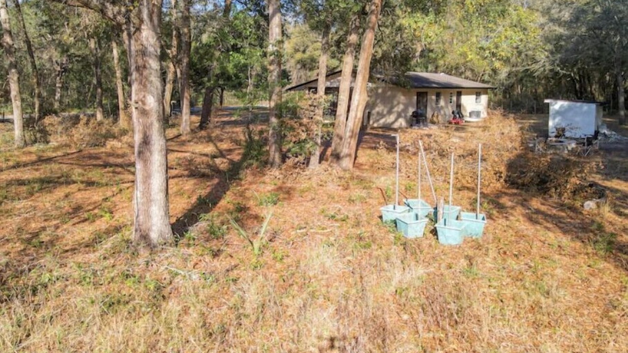 Photo of Outdoor in Ocklawaha