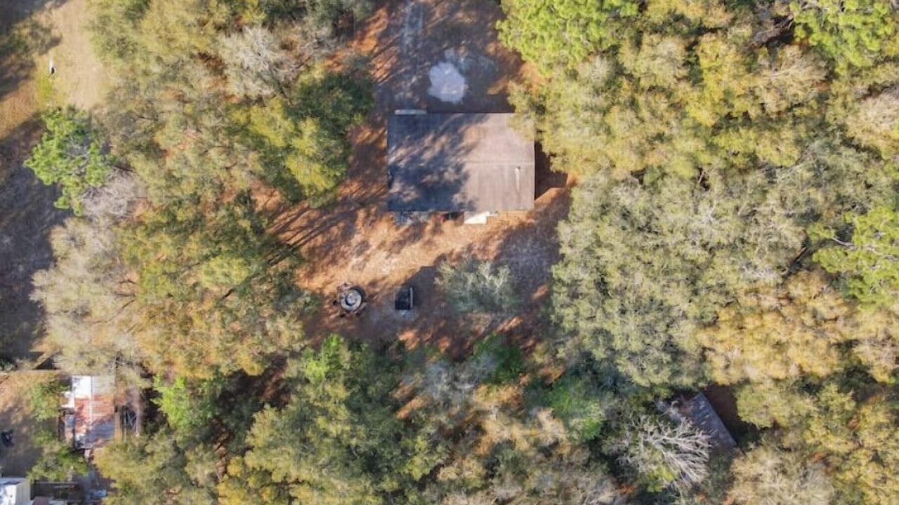 Photo of Outdoor in Ocklawaha