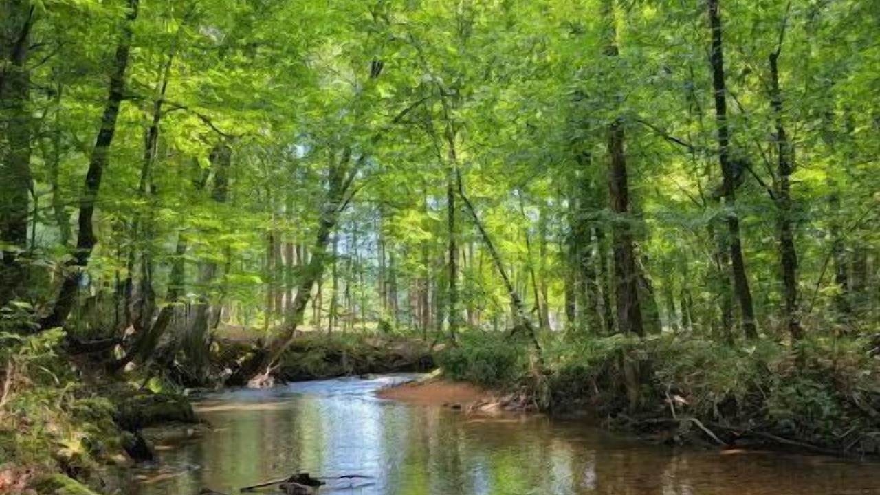 Photo of Others in Pinson