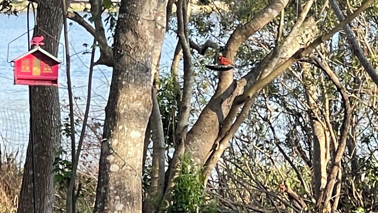 Photo of Others in Interlachen