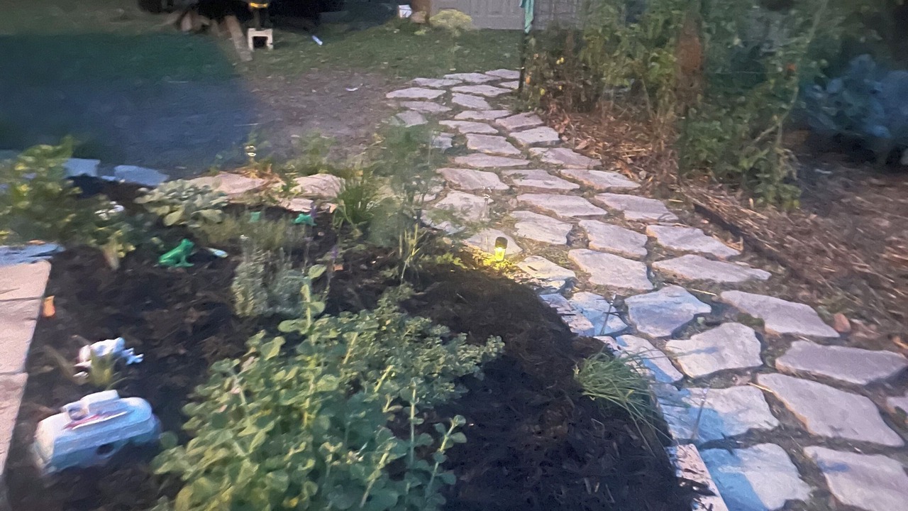 Photo of Outdoor in Interlachen