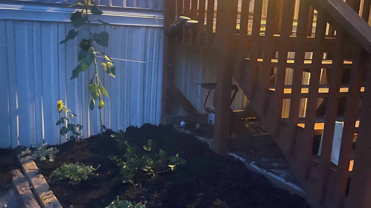 Photo of Outdoor in Interlachen