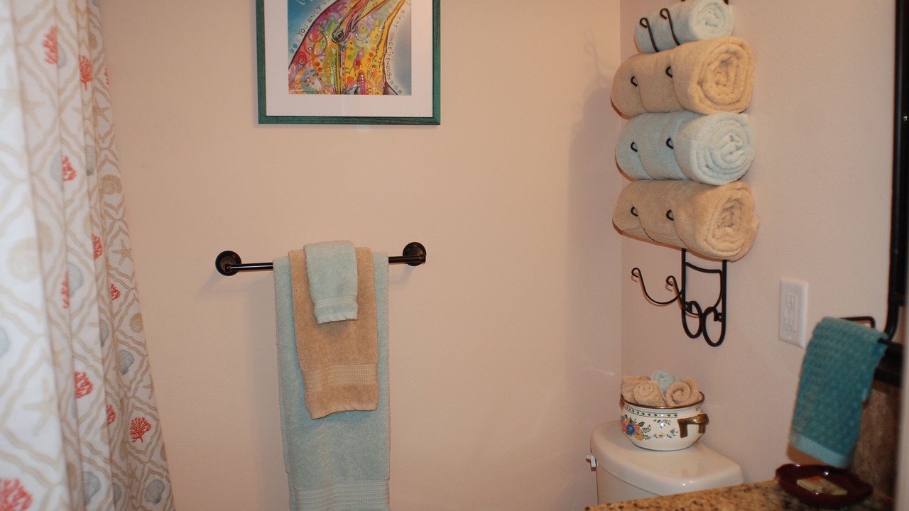 Photo of Bathroom in Dauphin Island