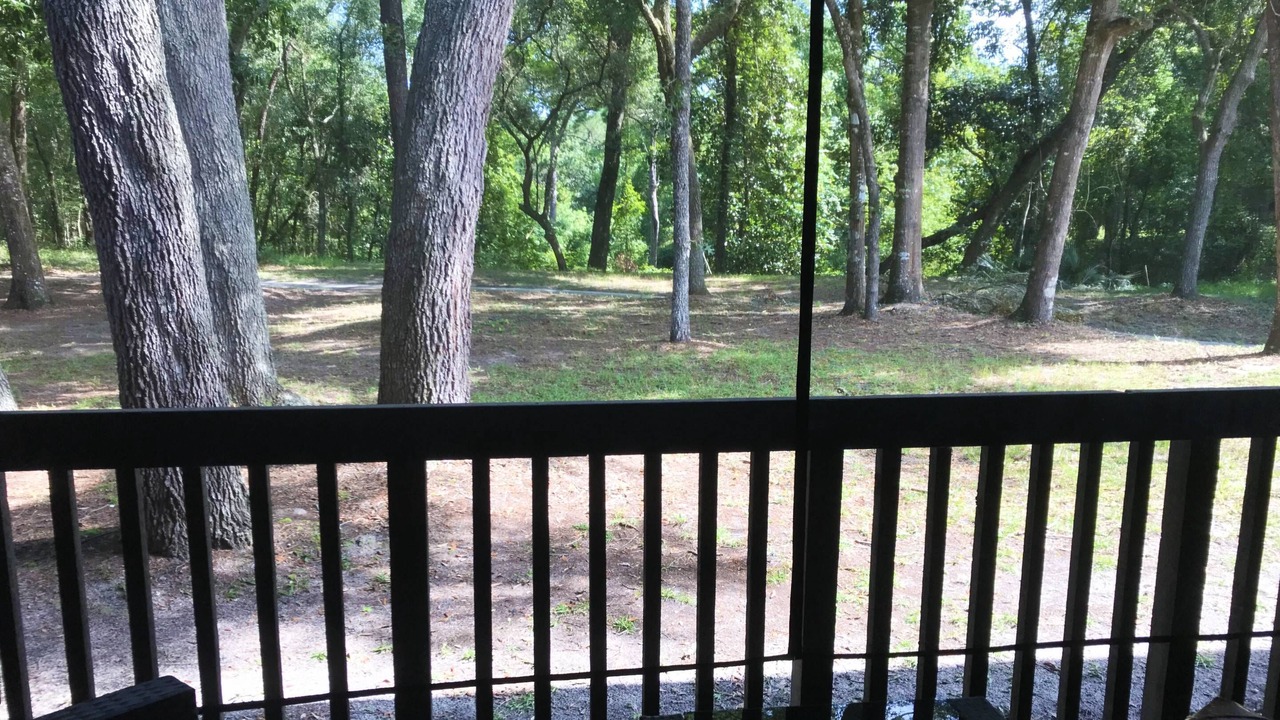 Photo of Outdoor in Middleburg
