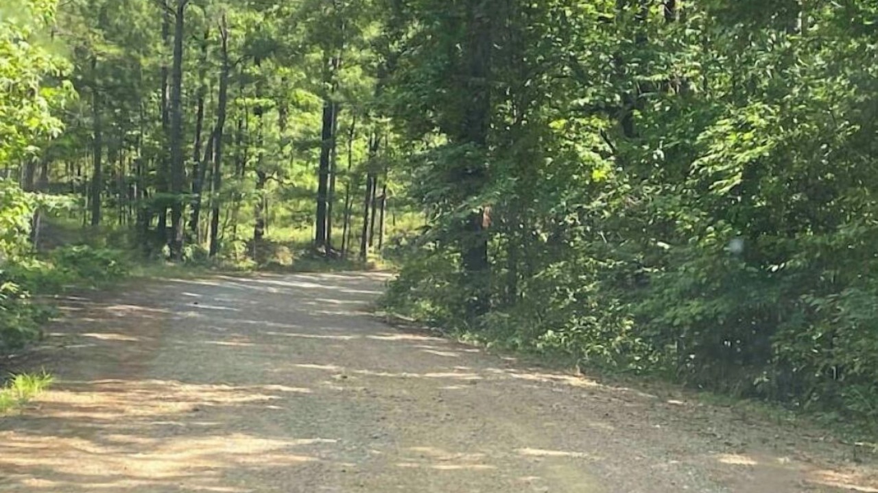 Photo of Others in Sylacauga