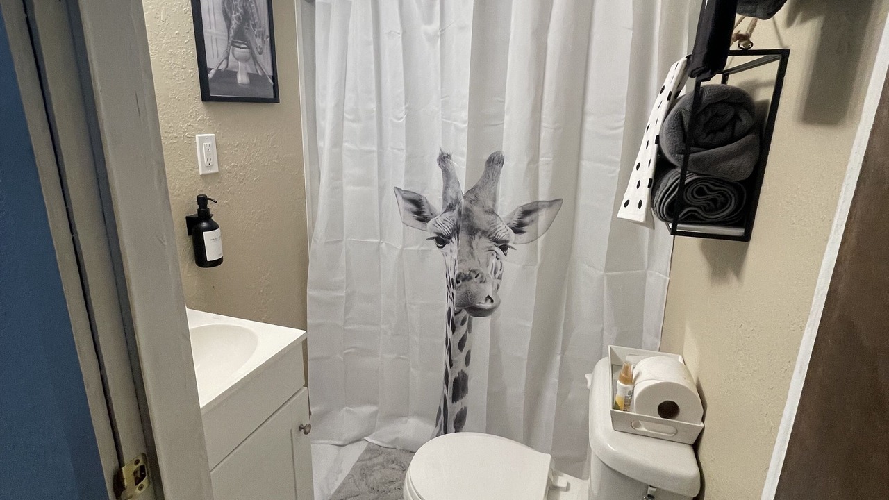 Photo of Bathroom in Red Level