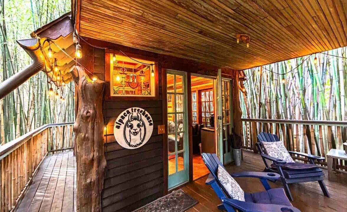 Photo of Outdoor in Atlanta