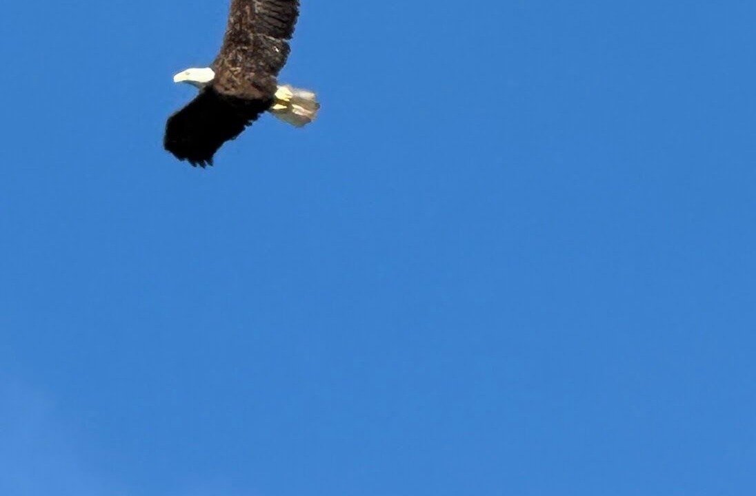 Photo of Others in Eatonton