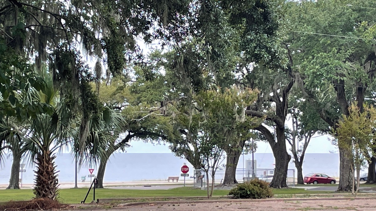 Photo of Others in Biloxi