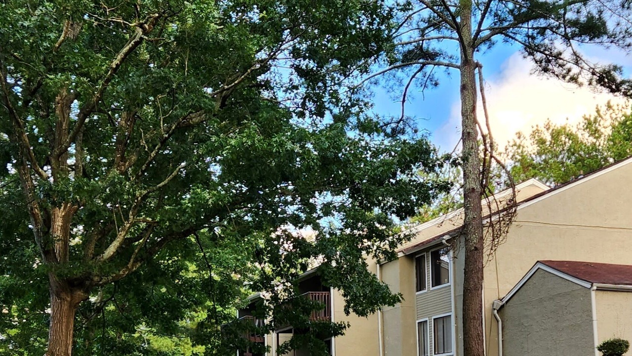 Photo of Outdoor in Decatur