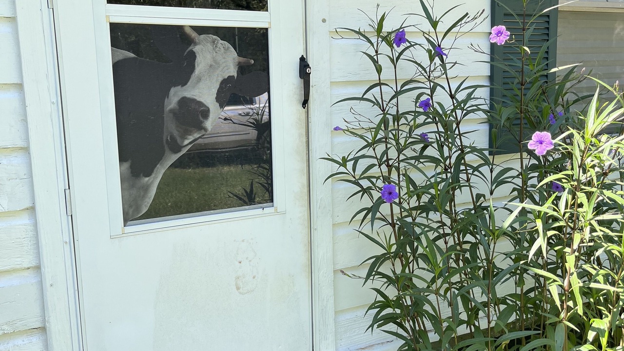 Photo of Outdoor in Scooba