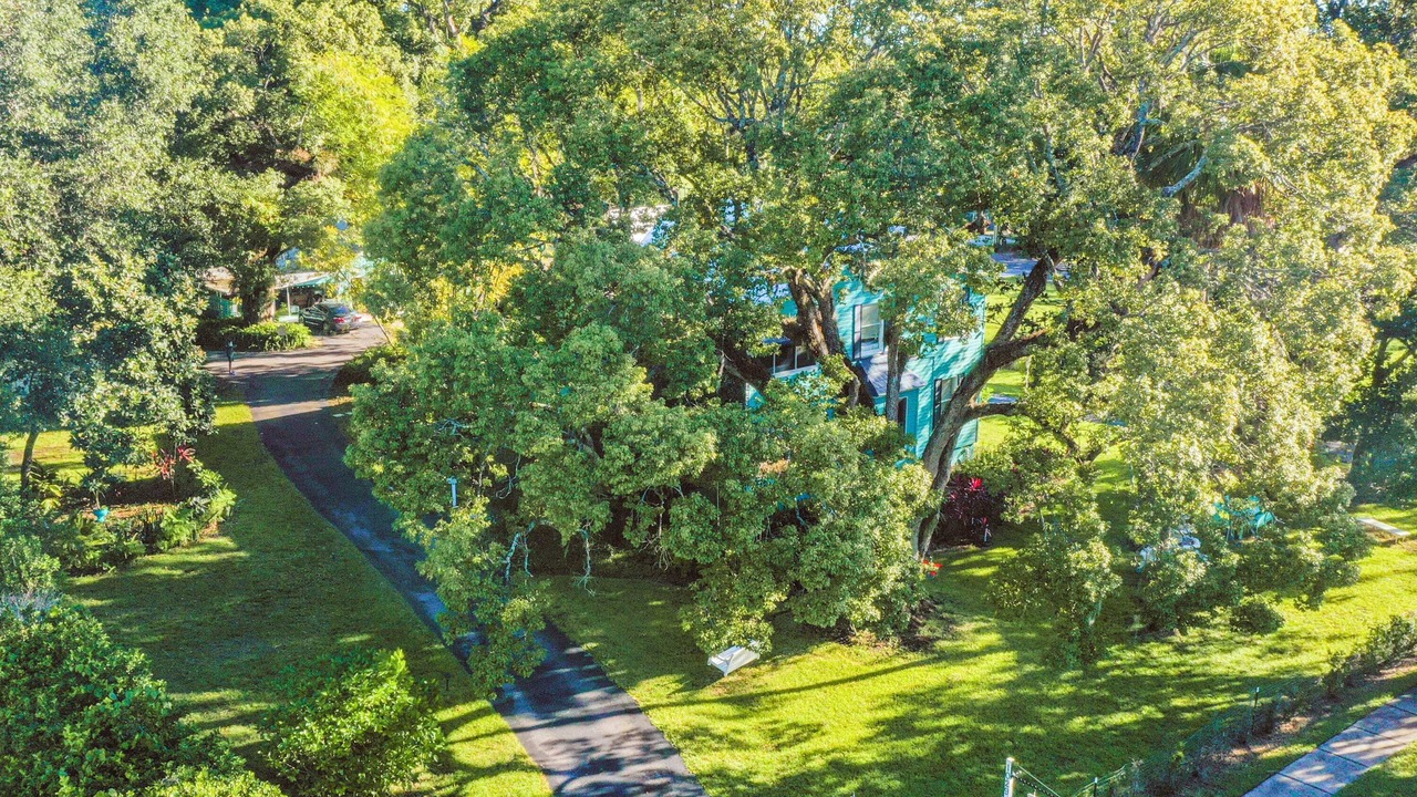 Photo of Outdoor in Mount Dora