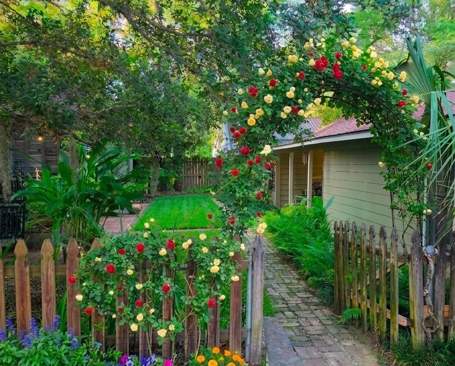 Photo of Outdoor in Mandeville