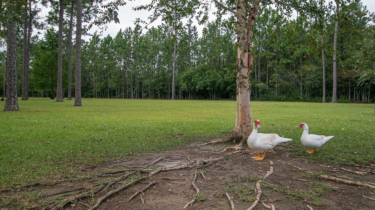 Photo of Outdoor in Gulfport