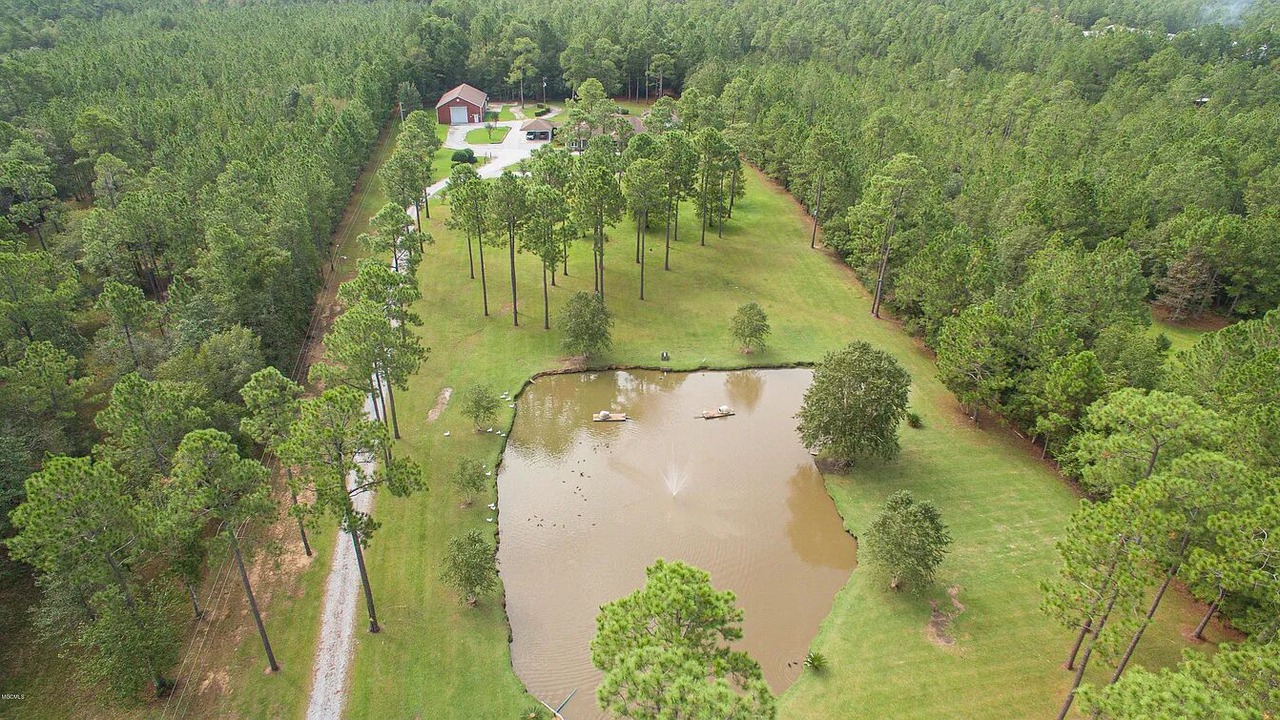 Photo of Outdoor in Gulfport