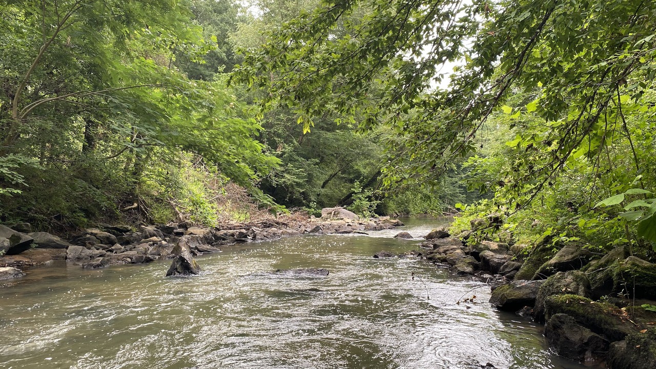 Photo of Outdoor in Jewell