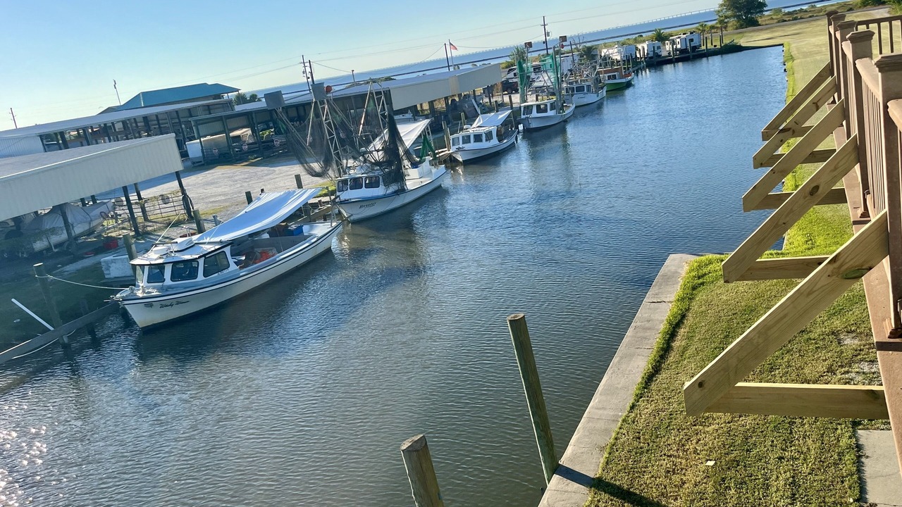 Photo of Others in Lake Catherine