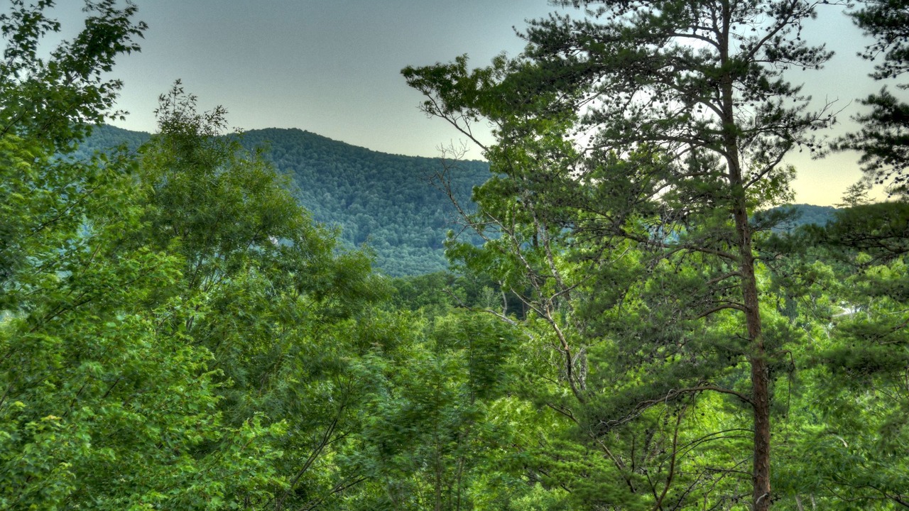 Photo of Outdoor in Blue Ridge