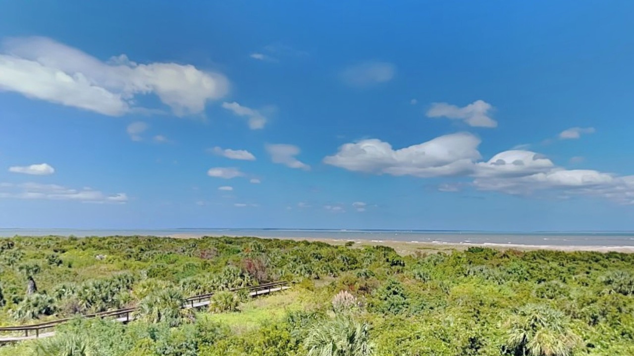 Photo of Others in Tybee Island
