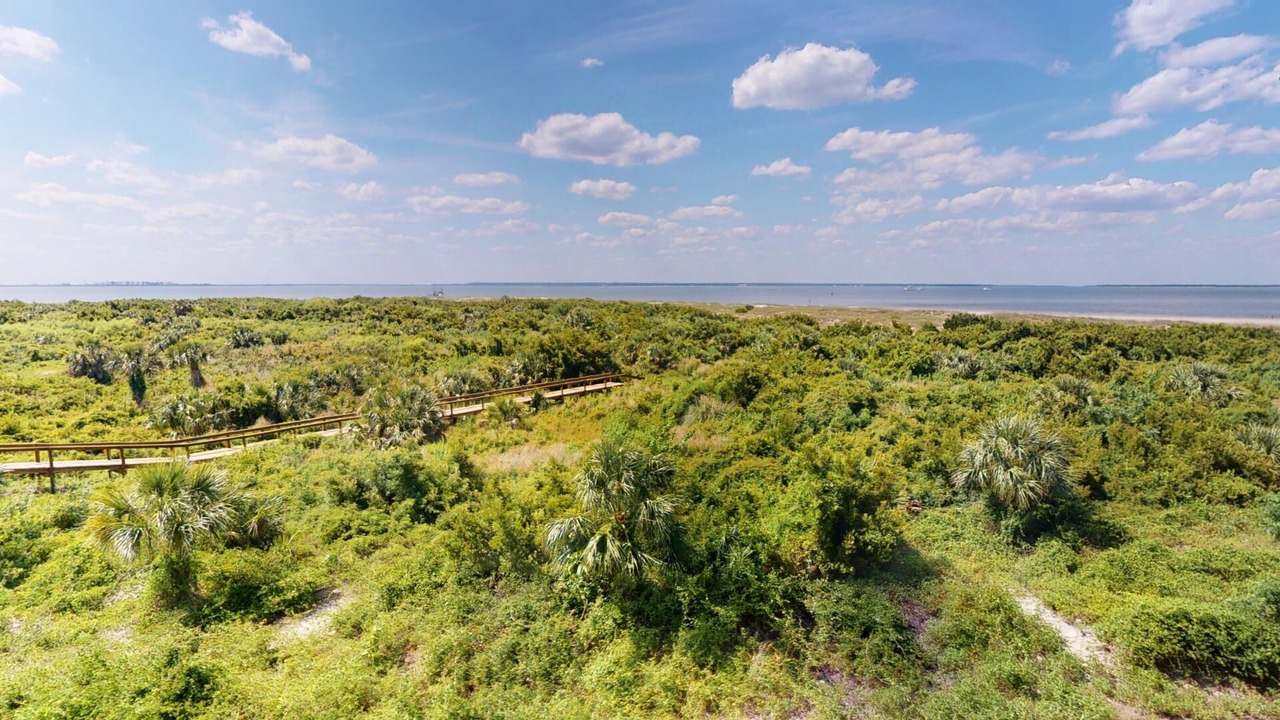 Photo of Others in Tybee Island