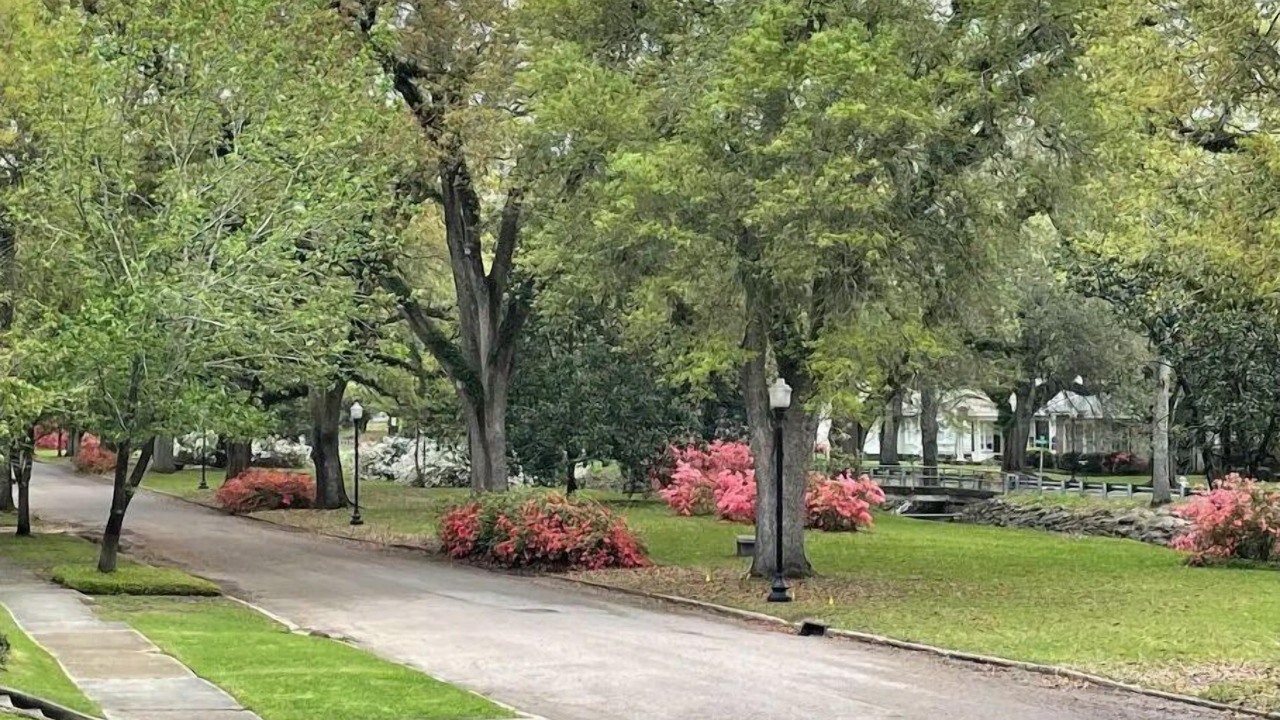 Photo of Outdoor in Laurel