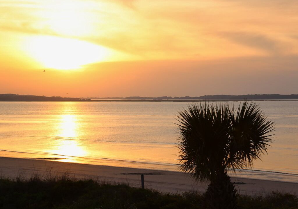 Photo of Others in Tybee Island