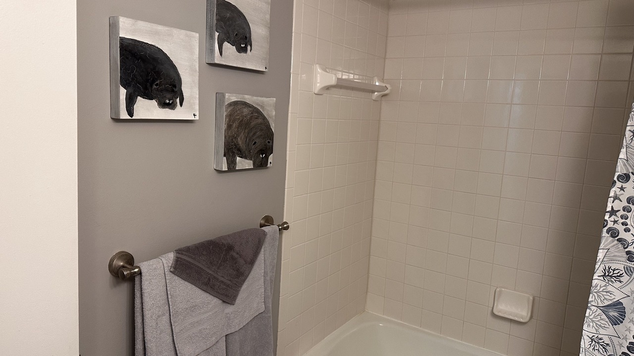Photo of Bathroom in Daytona Beach Shores