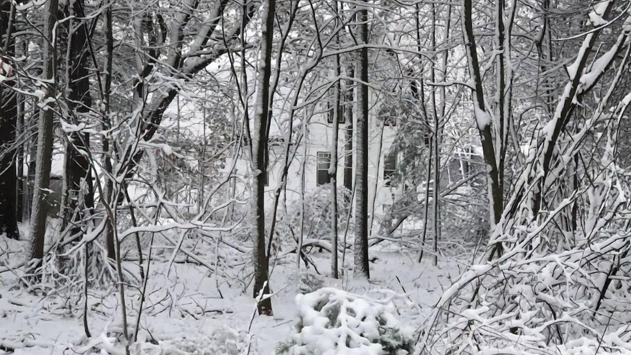 Photo of Outdoor in Elk Rapids