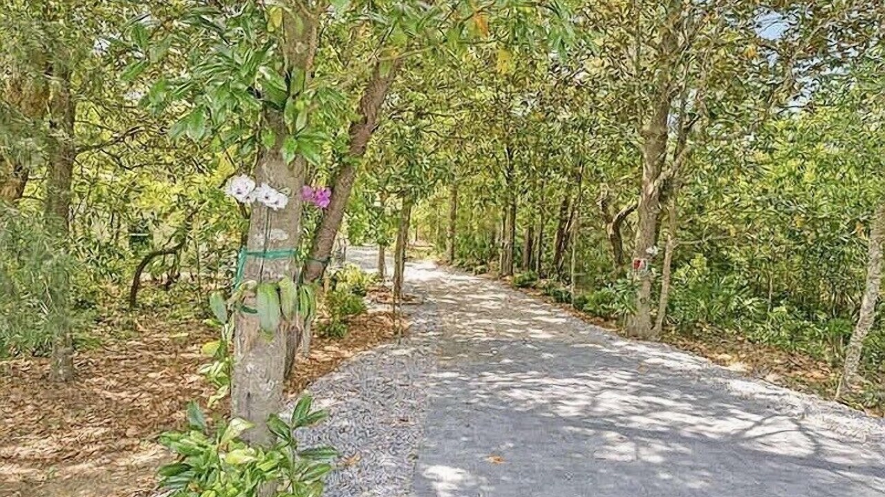 Photo of Outdoor in Mary Esther