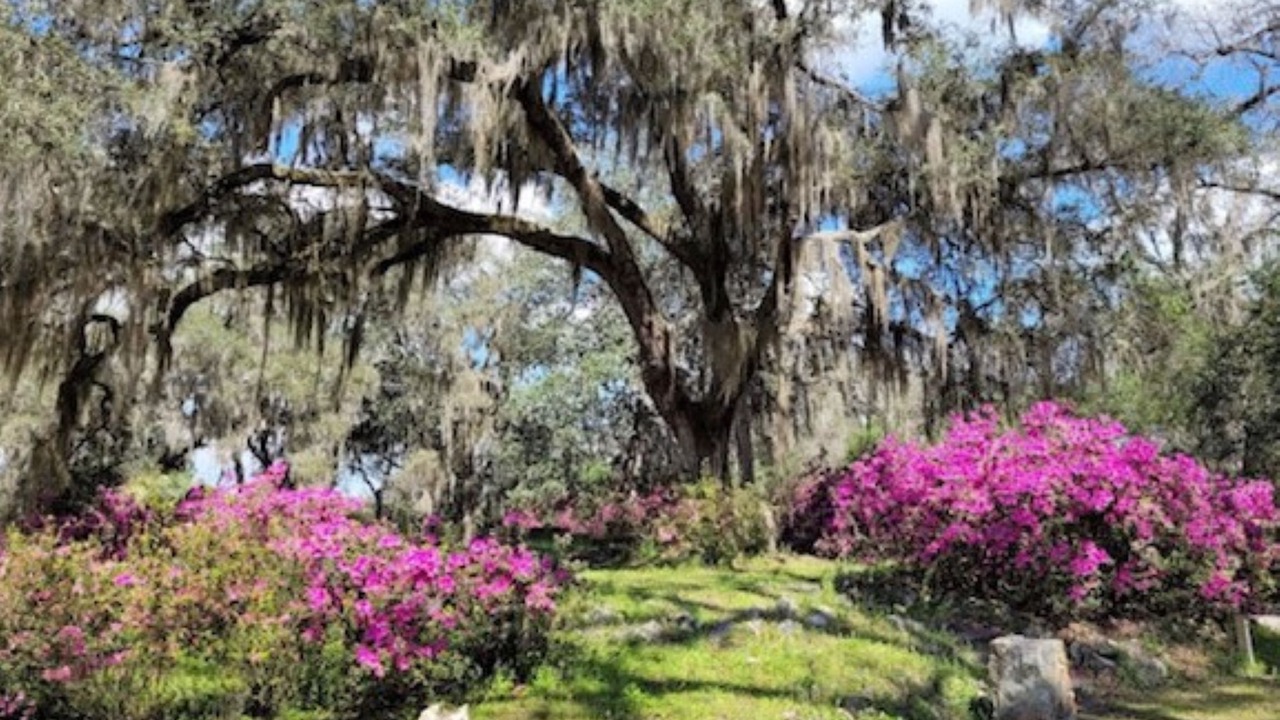 Photo of Outdoor in Palatka