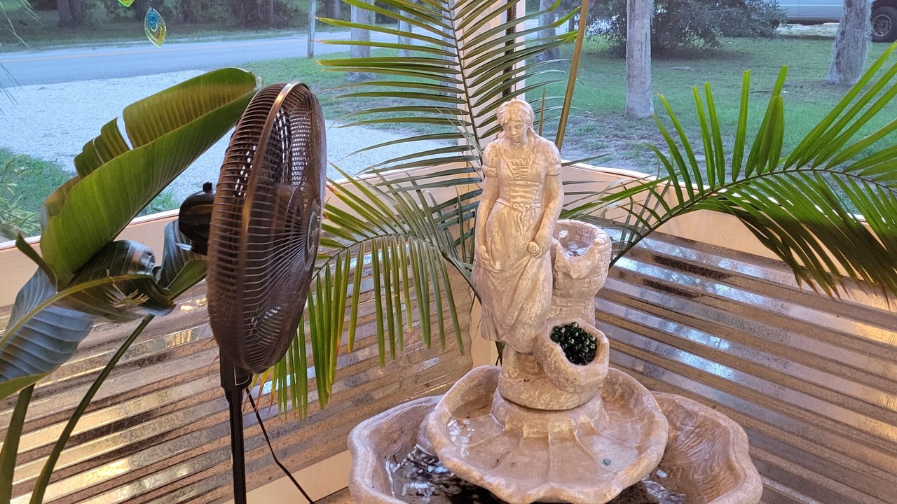 Photo of Outdoor in New Smyrna Beach