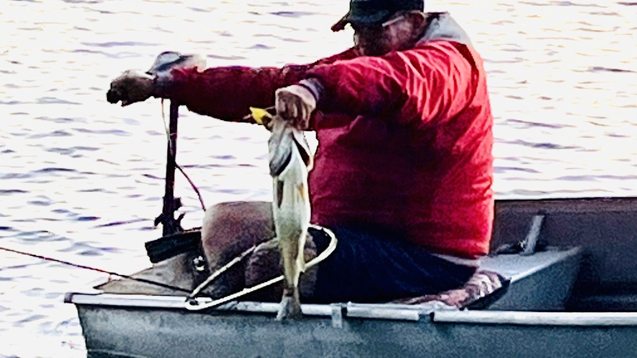 Photo of Others in Northeast Michigan
