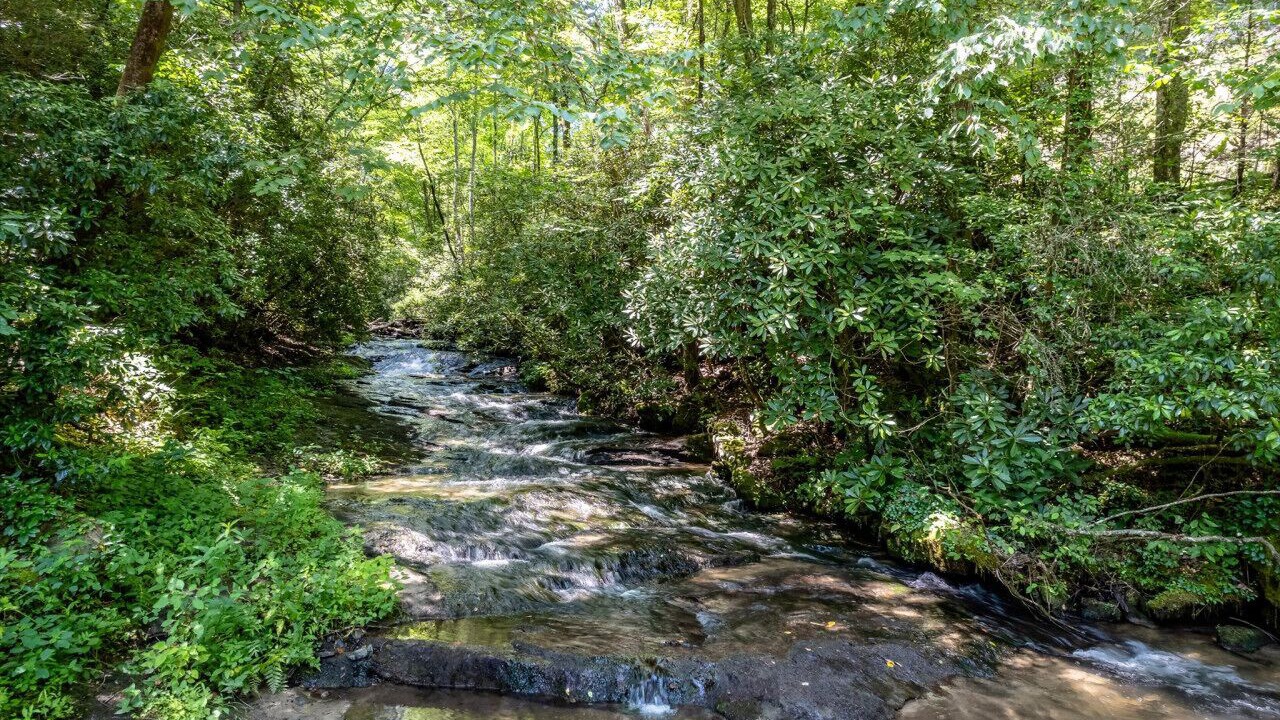 Photo of Others in Blue Ridge