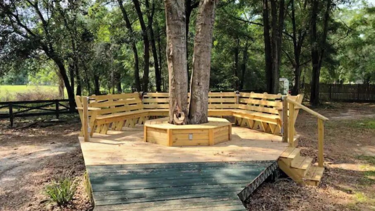 Photo of Outdoor in Dowling Park