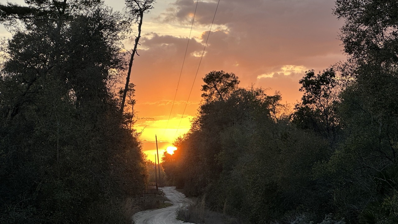 Photo of Outdoor in Edgar