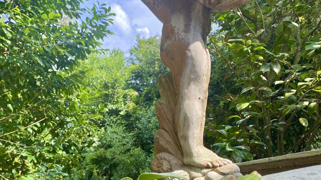 Photo of Outdoor in Laurel