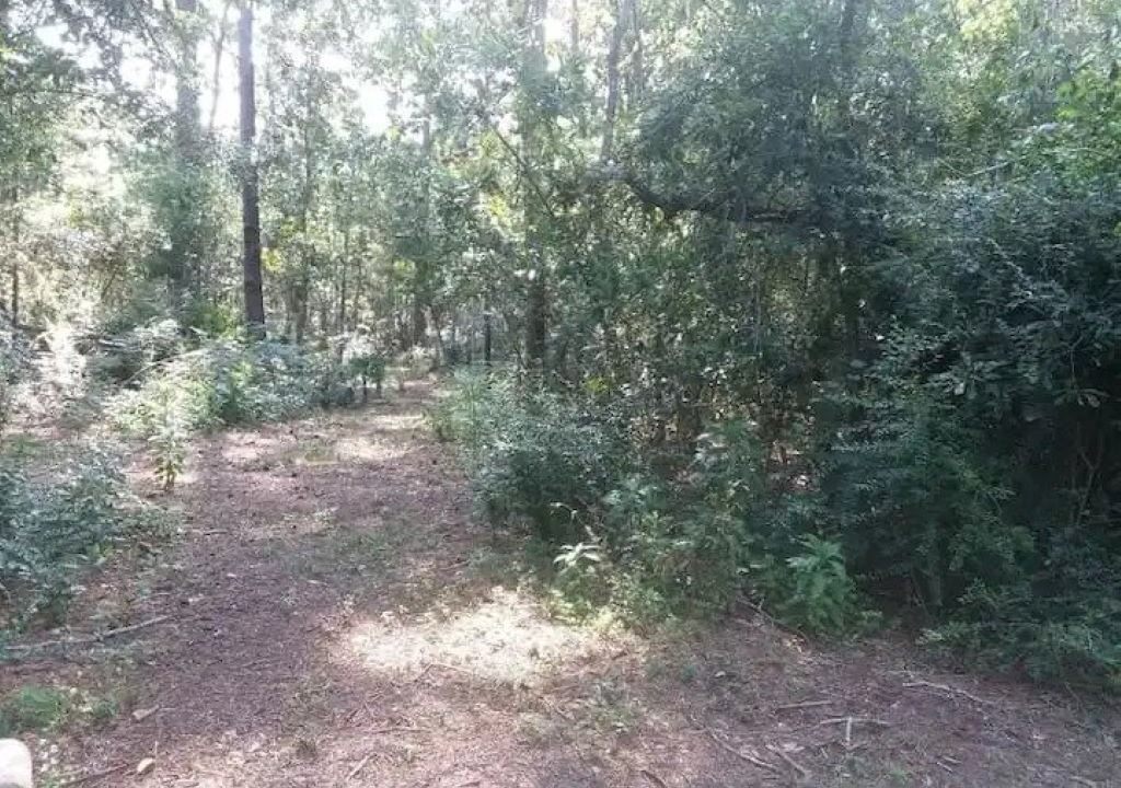 Photo of Outdoor in Waveland