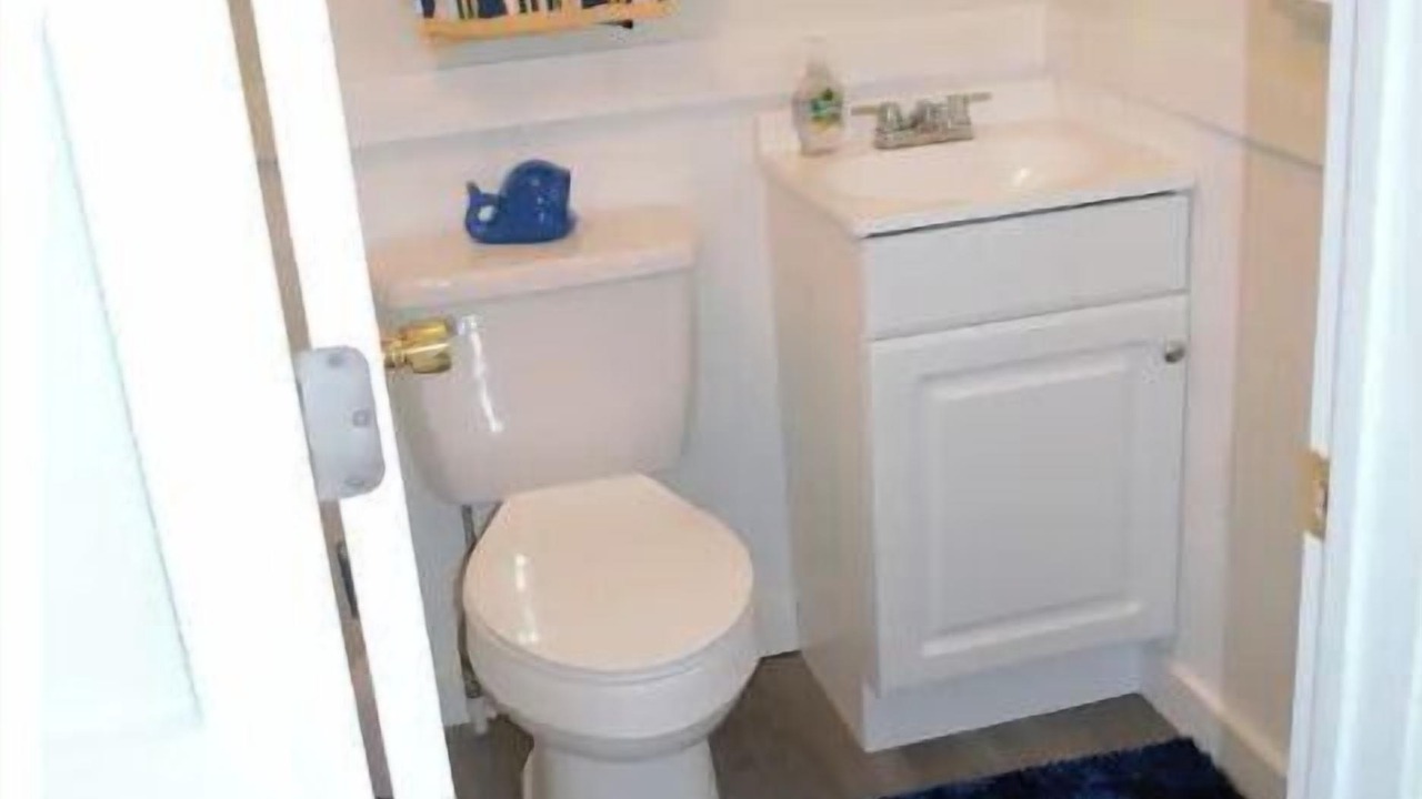 Photo of Bathroom in Welaka